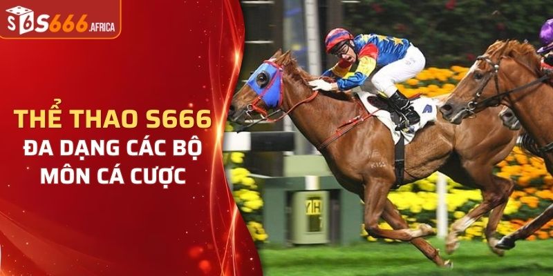 Đa dạng các bộ môn cá cược có tại thể thao S666