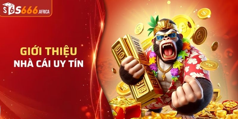 Giới thiệu tổng quan nhà cái cá cược uy tín nhất 2024
