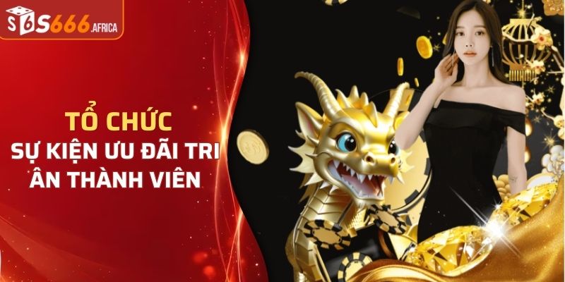 Nhà cái thường xuyên tổ chức sự kiện ưu đãi tri ân thành viên